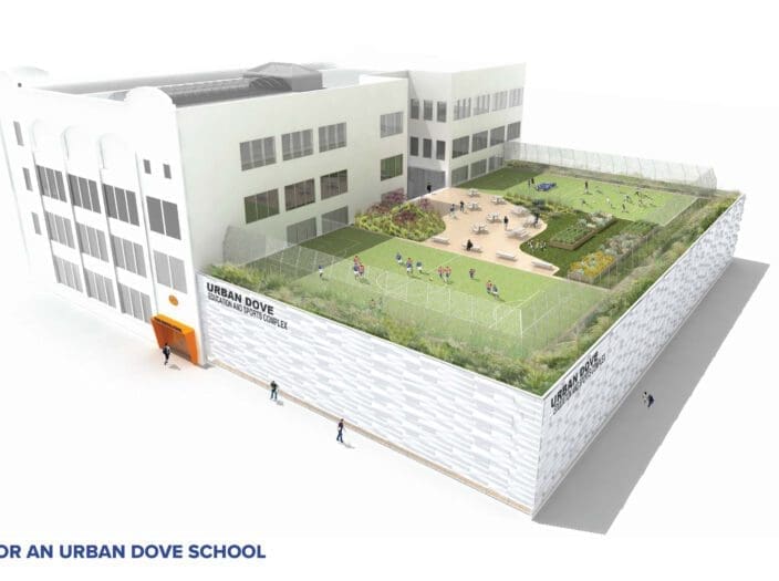 Study for an Urban Dove School_Marble Fairbanks Architects